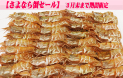 お刺身用海老　船内冷凍がらえび