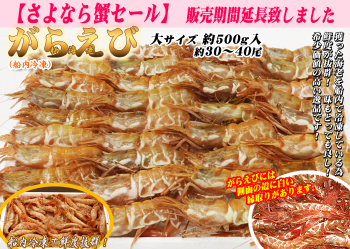 [船内冷凍]がらえび　大サイズ　約30～40尾（約500g）＜日本海産・山陰沖＞