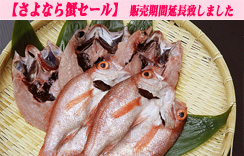 干しのどぐろ（開き真空パック）５尾（１尾 約100～130g）