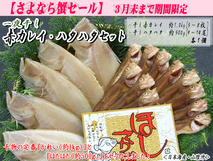 ＜山陰一夜干し＞干カレイ・干ハタハタセット　各約1.0kg＜日本海産・山陰沖＞