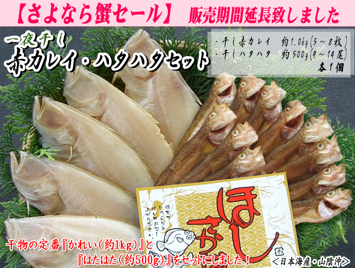 ＜山陰一夜干し＞干カレイ・干ハタハタセット　各約1.0kg＜日本海産・山陰沖＞