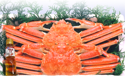 釜ゆでずわいがに足だけ　約1.4～1.5kg　(2枚入・かに酢1本付)