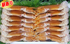 【訳あり】(生)ずわいがに足だけ　5kg　4L　約13～15肩（指折れあり）