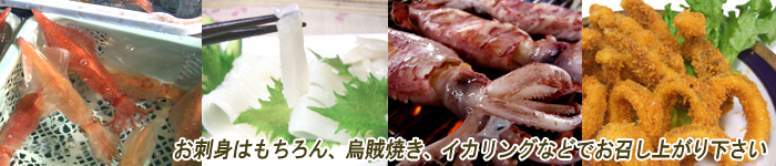 烏賊いか料理イメージ