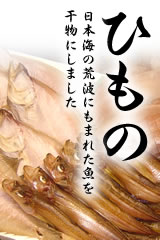 干物 日本海の荒波にもまれた魚を干物にしました