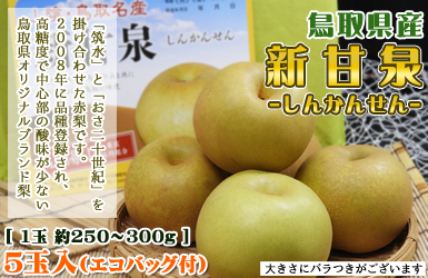 9月上旬限定発送！　鳥取県オリジナル梨「新甘泉」はこちらから