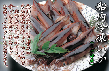 いつでも新鮮なお刺身でどうぞ！　船内冷凍いか　26～30入