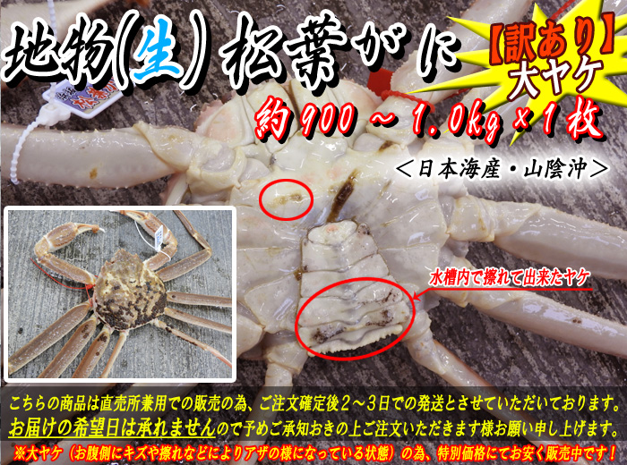 【訳あり】生松葉がに　約900～1.0kg×１枚（大ヤケ）　